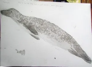 seal ink painting