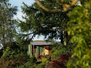 ROddy's photo of my studio in the autumn sun